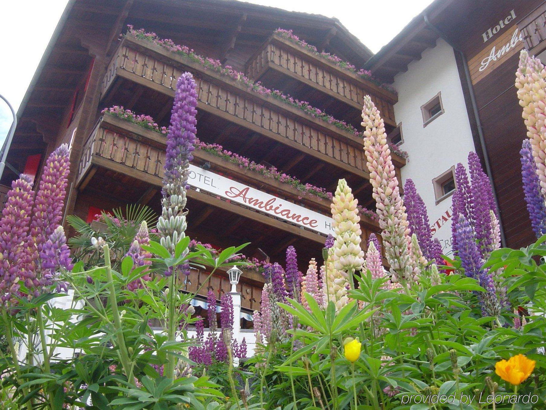 Hotel Ambiance Zermatt Zewnętrze zdjęcie